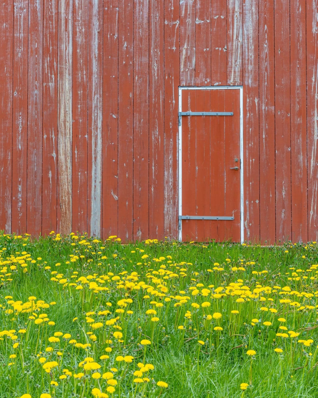 <p>Detalj iz islansdkog grada&nbsp;&Iacute;safj&ouml;r&eth;ura</p>