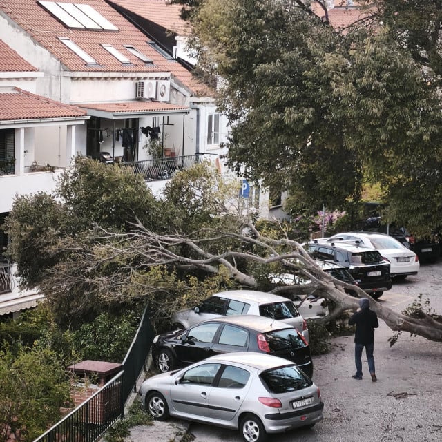 <p>Bura sru&scaron;ila stabla u ulici kneza Domagoja u Lapadu</p>