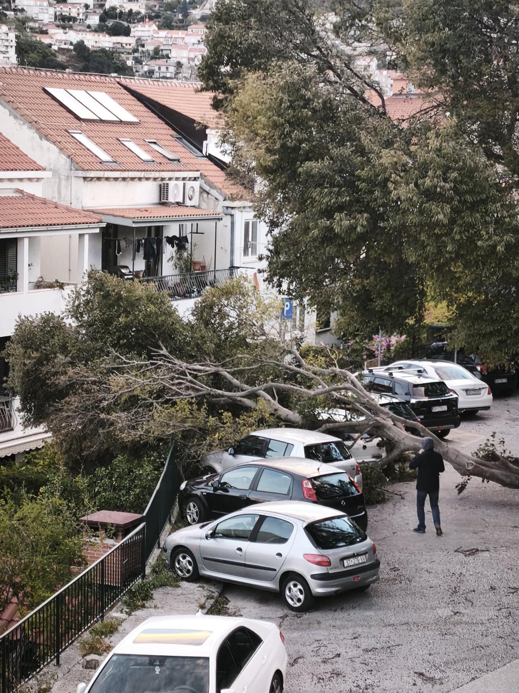 <p>Bura sru&scaron;ila stabla u ulici kneza Domagoja u Lapadu</p>