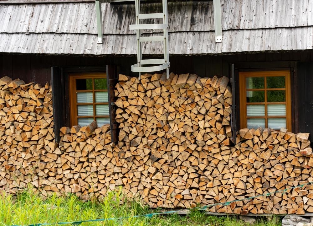 Drva za ogrjev mnogi slažu uz kuću ne sluteći što se događa iza njih: posljedice bi vas mogle skupo stajati