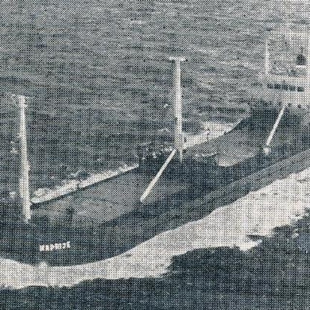 32695337