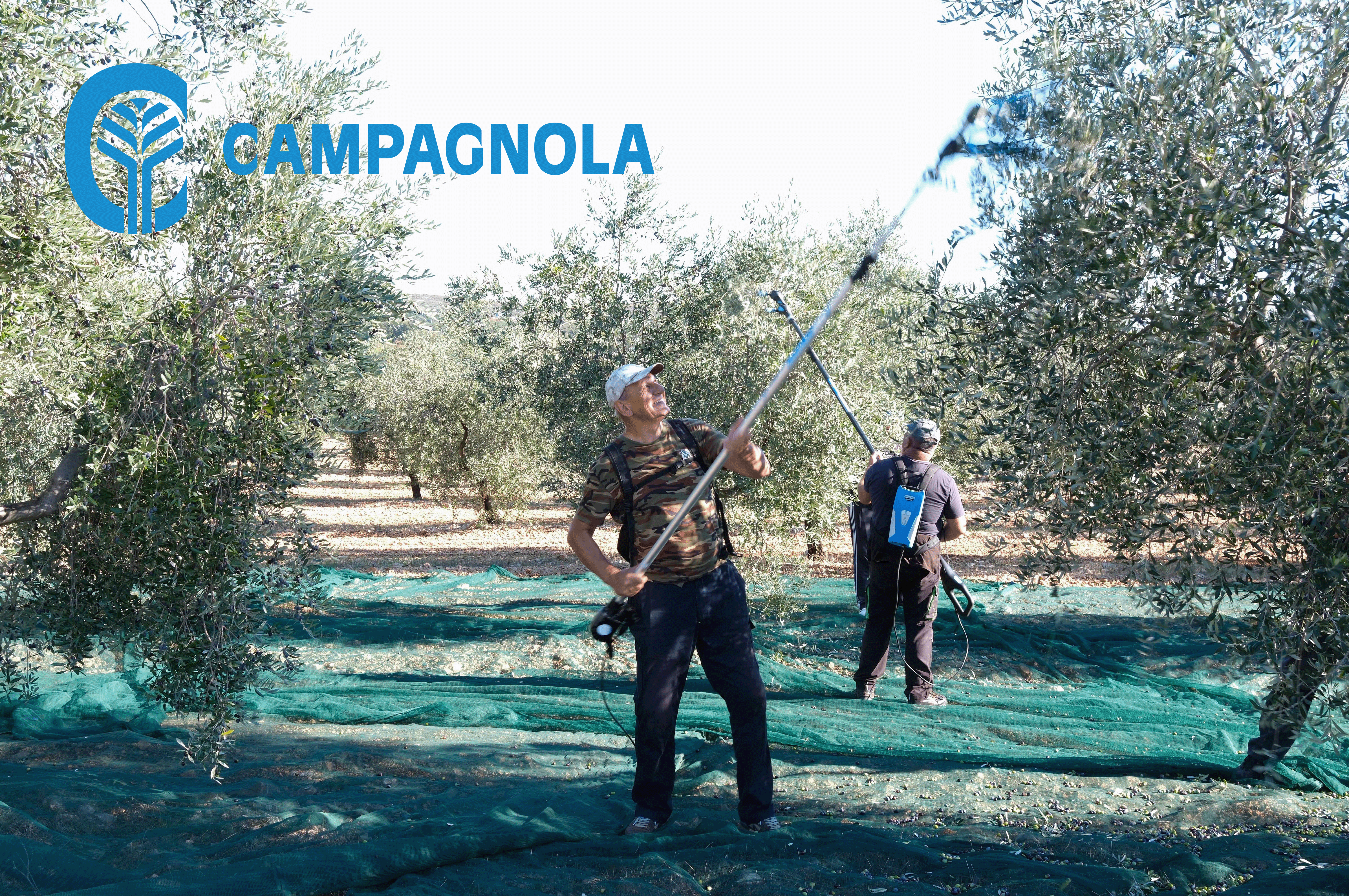 Tradicija, predanost kvaliteti i 15 godina povjerenja u Campagnolu