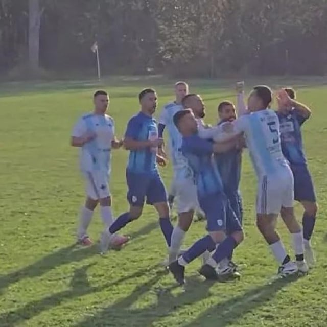 <p>&Scaron;ake su letjele na sve strane</p>