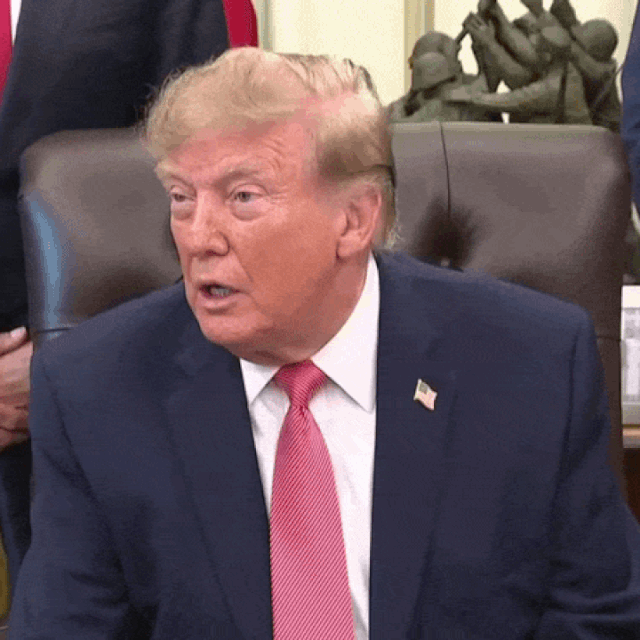 <p>Donald Trump</p>