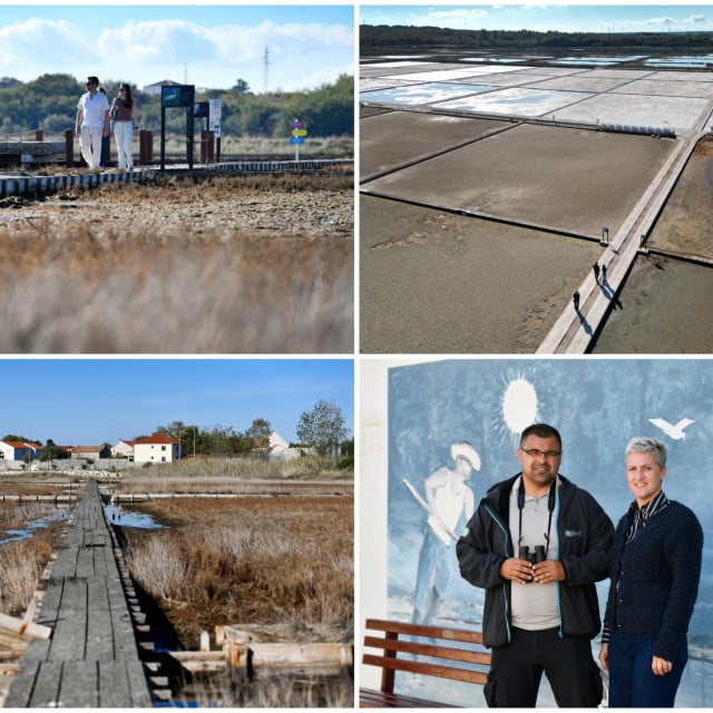 <p>Na području Nina zabilježeno je vi&scaron;e od 200 vrsta ptica, a ninska Turistička zajednica želi promatranje ptica razviti u turistički sadržaj koji će privlačiti goste i tijekom proljeća i jeseni</p>