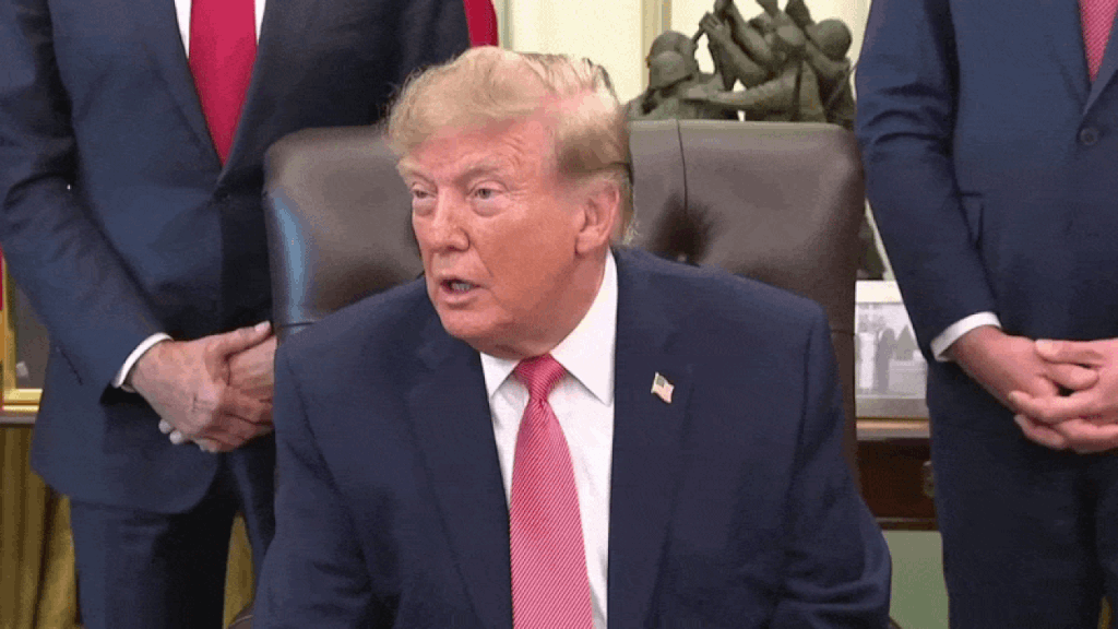 <p>Donald Trump</p>