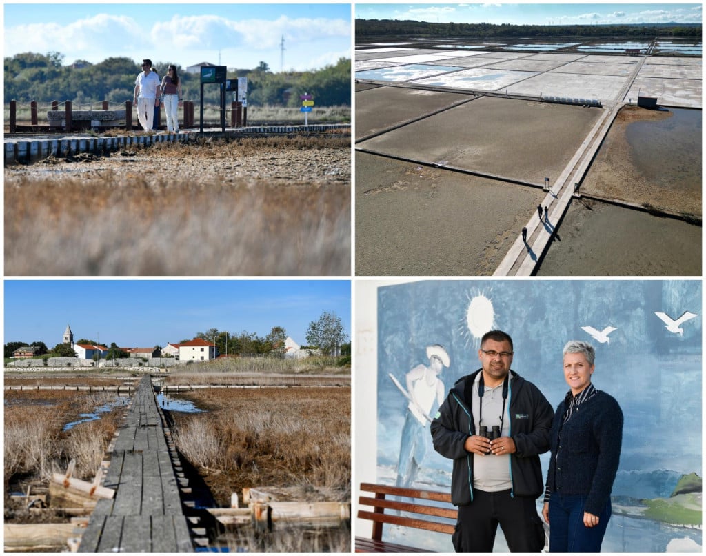 <p>Na području Nina zabilježeno je vi&scaron;e od 200 vrsta ptica, a ninska Turistička zajednica želi promatranje ptica razviti u turistički sadržaj koji će privlačiti goste i tijekom proljeća i jeseni</p>