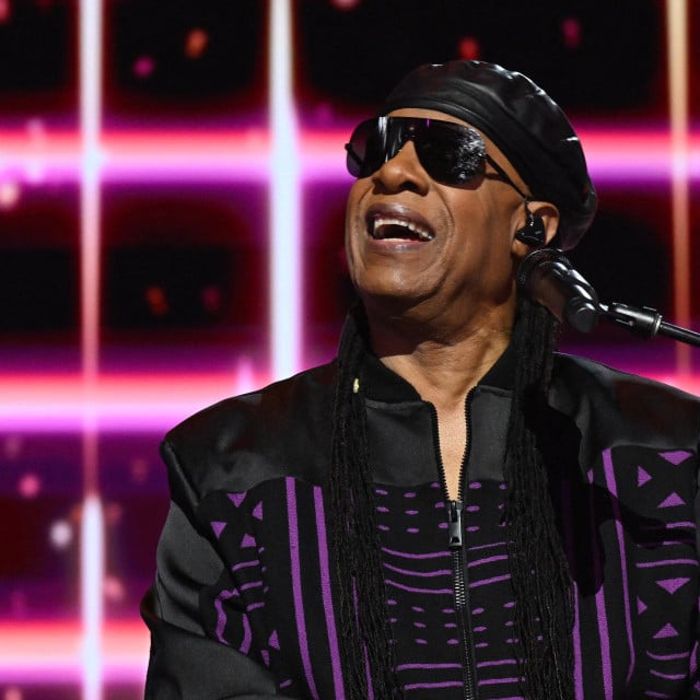 <p>Stevie Wonder</p>